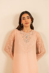 1 Piece Chiffon Embroidered Shirt (FS0015)